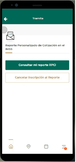 Reporte Personalizado de Cotización en el IMSS